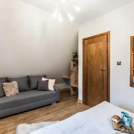 Forrest Nowotarska 아파트 자코파네